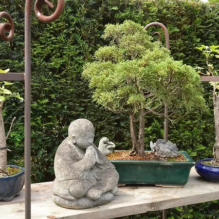 Oda ve Kahvaltı Casa Di Fiore 3*