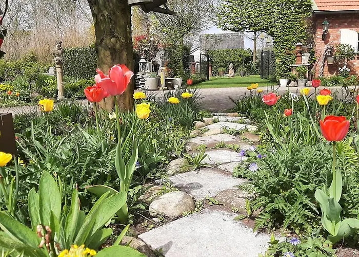 Casa Di Fiore 3* Ospel