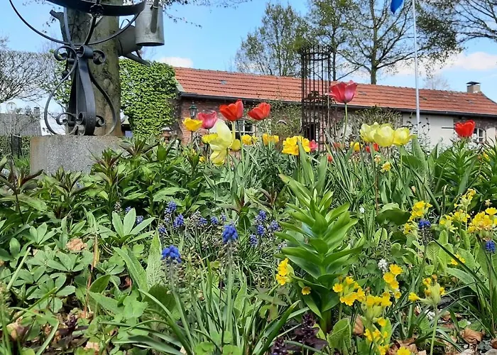 Casa Di Fiore 3* Ospel