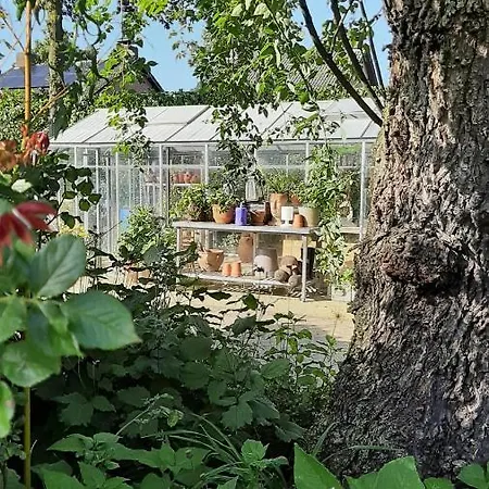 Casa Di Fiore לינה וארוחת בוקר