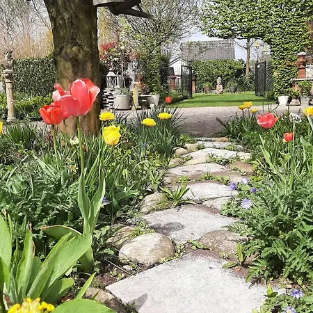 Casa Di Fiore 3* Ospel